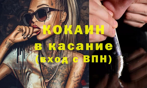 стафф Ельня