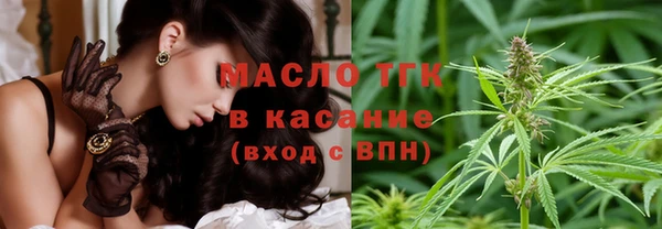 молекула духа Елизово