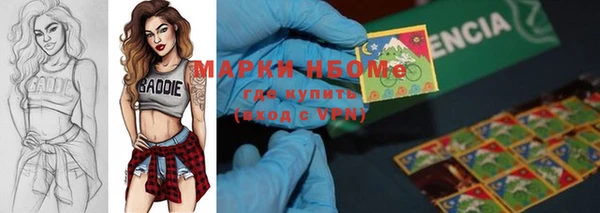 молекула духа Елизово