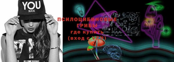 стафф Ельня