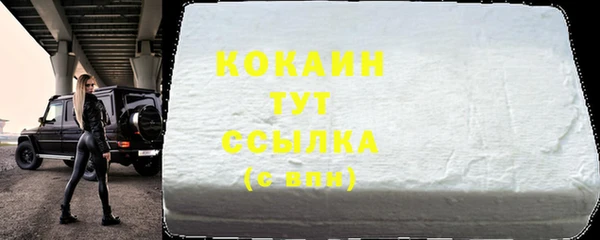 стафф Ельня