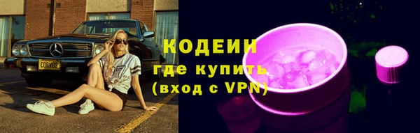 молекула духа Елизово