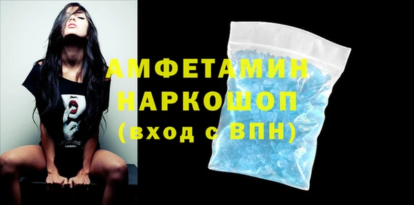 стафф Ельня