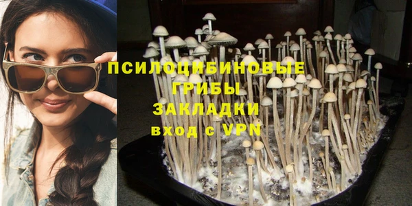 стафф Ельня