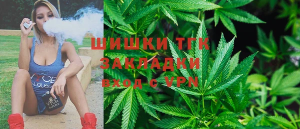 стафф Ельня