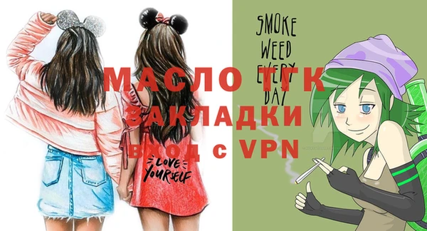 стафф Ельня