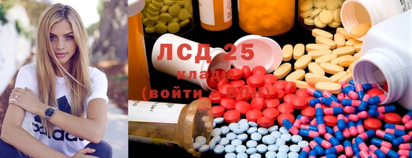 стафф Ельня