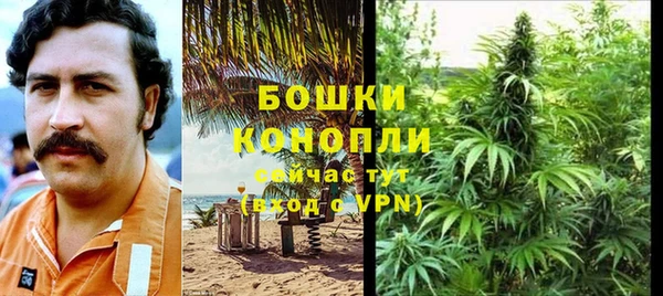 стафф Ельня