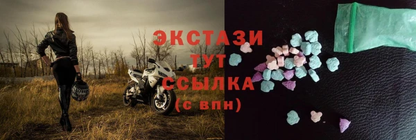 индика Санкт-Петербург