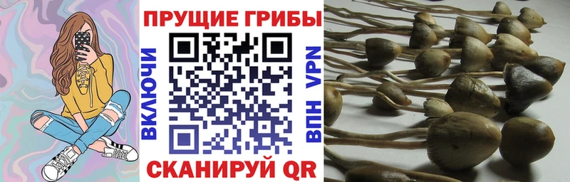 наркотики  Ивдель  Псилоцибиновые грибы мухоморы 